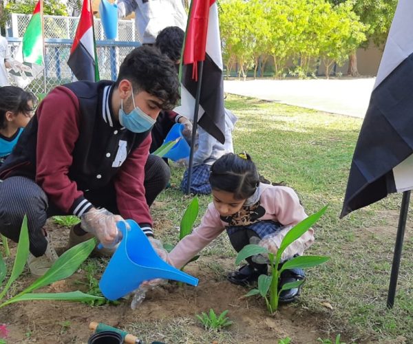 Planting-trees-2-845x684